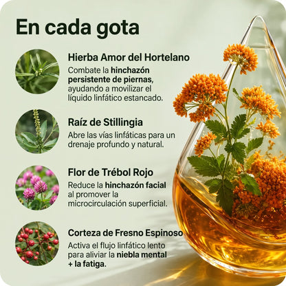 Drenaje Linfático Mayaverra — Gotas Naturales